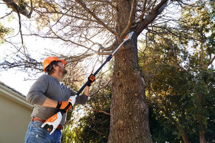 STIHL Akku-Hochentaster HTA 50 | AK-System STIHL Akku-Hochentaster HTA 50 | AK-System