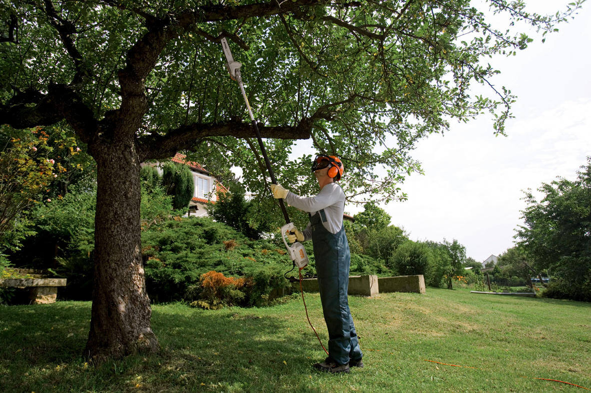 STIHL Elektro-Hochentaster HTE 60 30 cm / 71 PM3 STIHL Elektro-Hochentaster HTE 60 30 cm / 71 PM3