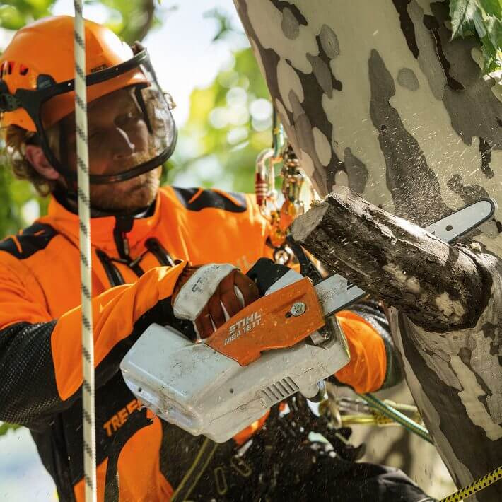 STIHL Akku-Motorsäge MSA 161 T | AP-System STIHL Akku-Motorsäge MSA 161 T | AP-System