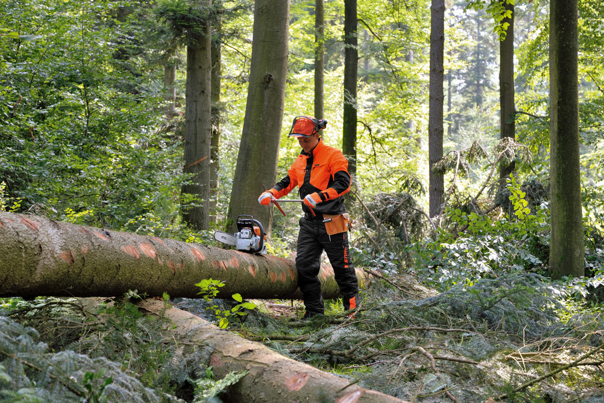 STIHL Bundhose DYNAMIC Class 1 STIHL Bundhose DYNAMIC Class 1