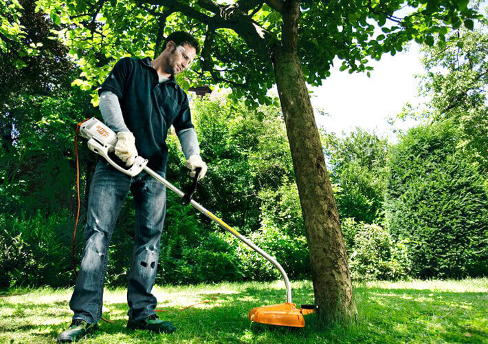 STIHL Elektro-Motorsense FSE 60 / AC C 6-2 STIHL Elektro-Motorsense FSE 60 / AC C 6-2