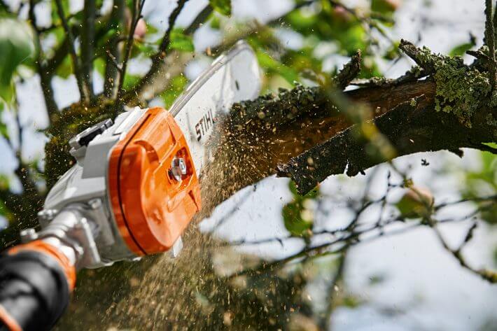 STIHL Akku-Hochentaster HTA 135 | AP-System STIHL Akku-Hochentaster HTA 135 | AP-System