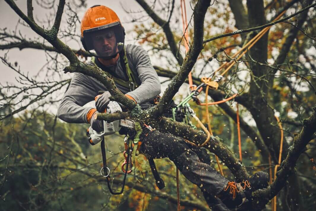 STIHL Akku-Gehölzschneider GTA 40 | AS-System STIHL Akku-Gehölzschneider GTA 40 | AS-System