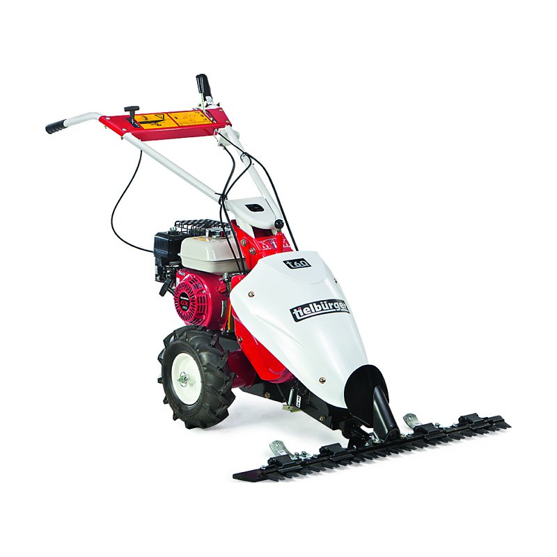 tielbürger Balkenmäher t70 mit Motor tielbürger Balkenmäher t70 mit Motor