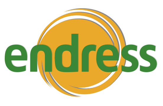 endress logo 2021