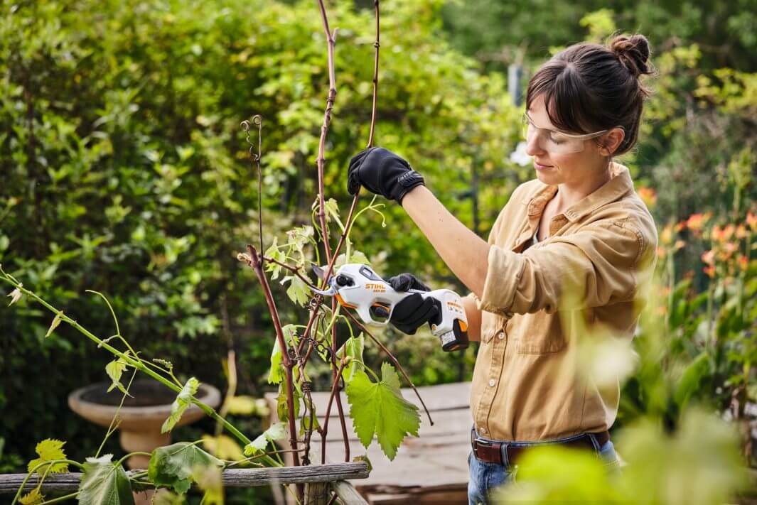 STIHL Akku-Astschere ASA 20 | AS-System STIHL Akku-Astschere ASA 20 | AS-System