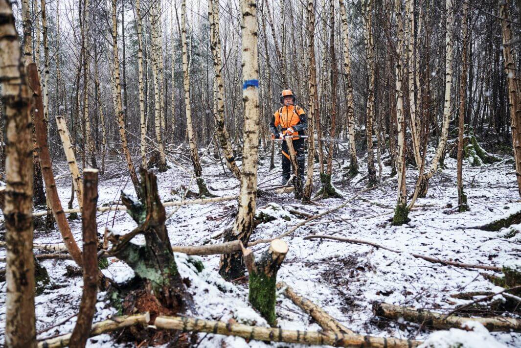 STIHL Akku-Hochentaster HTA 150 | AP-System STIHL Akku-Hochentaster HTA 150 | AP-System