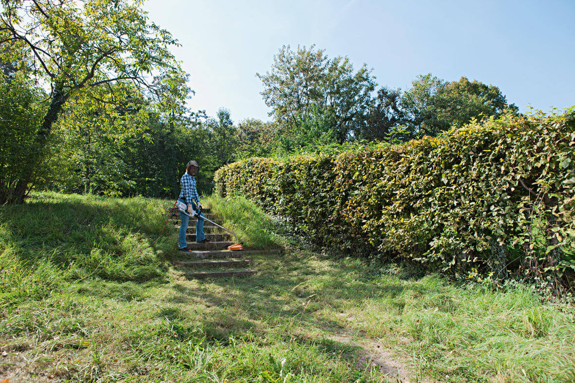 STIHL Elektro-Motorsense FSE 81 / AC C 6-2 STIHL Elektro-Motorsense FSE 81 / AC C 6-2